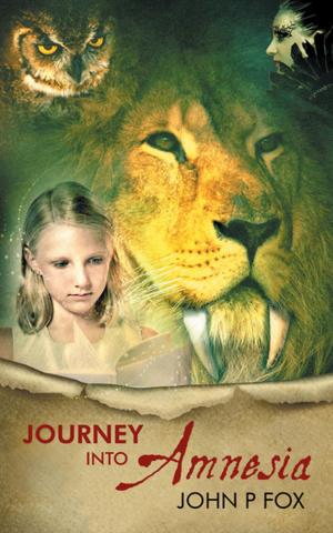 Cover of the book Journey into Amnesia by Carol Courcy