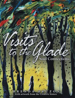 Cover of the book Visits to the Glade by Bonnie Meroth, Debbie Raymond