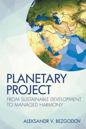 Cover of the book Planetary Project by Aleksandar Mihajlo Stepanovic