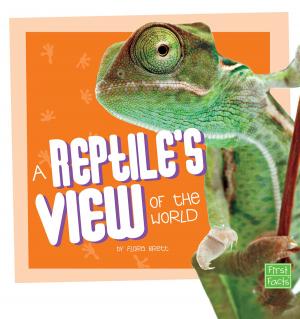 Cover of the book A Reptile's View of the World by Kim Kane