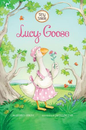 Cover of the book Lucy Goose by Claire Throp