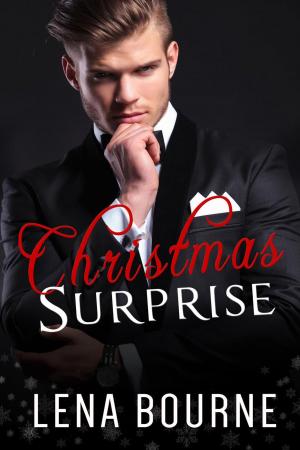 Cover of the book Christmas Surprise by Kay Michelle