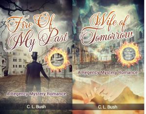 Cover of the book Fire In My Heart Series 2 Book Set: Fire Of My Past & Wife Of Tomorrow by W.H. Wheeler