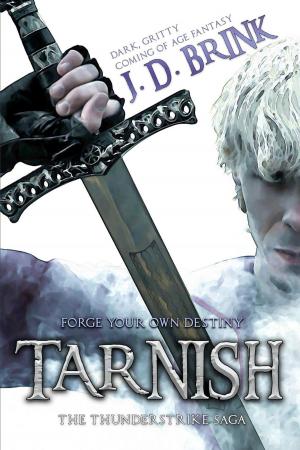 Cover of the book Tarnish: The Thunderstrike Saga by Carl-Peter Hough