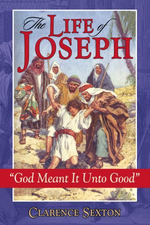 Cover of the book The Life of Joseph by Summer Haggins