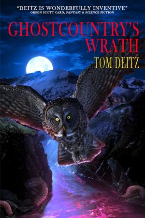 Cover of the book Ghostcountry's Wrath by Dorien Grey
