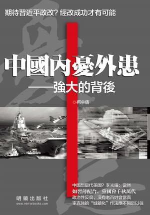 Cover of the book 《中國內憂外患》 by D.C. Potter