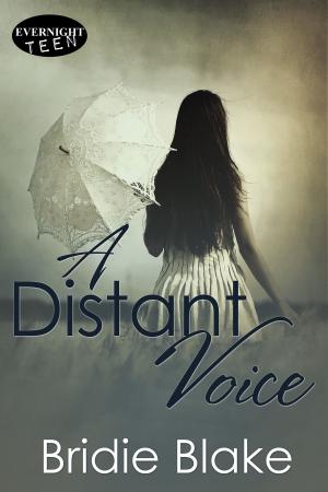 Cover of the book A Distant Voice by Linda Oatman High