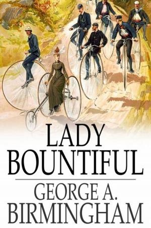 Cover of the book Lady Bountiful by Edward Bellamy