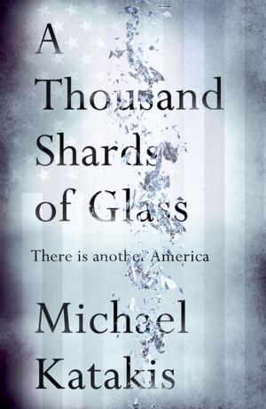 Cover of the book A Thousand Shards of Glass by Robin Baker