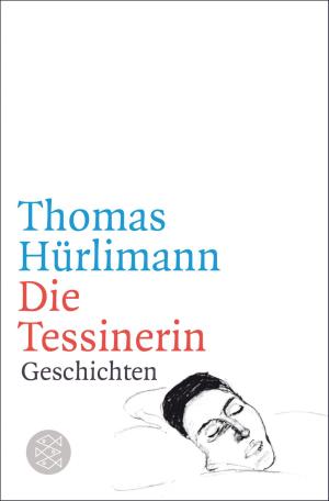 Cover of the book Die Tessinerin by Peter James