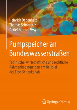 Cover of the book Pumpspeicher an Bundeswasserstraßen by Peter Hammacher, Ilse Erzigkeit, Sebastian Sage