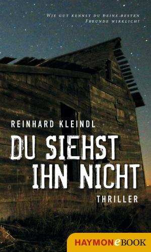 Cover of the book Du siehst ihn nicht by Lisa Lercher