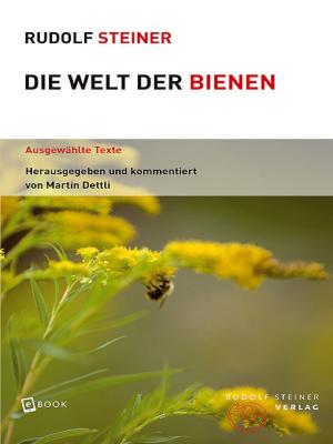 Cover of the book Die Welt der Bienen by Rudolf Steiner