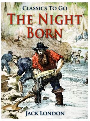 Book cover of The Night-Born
