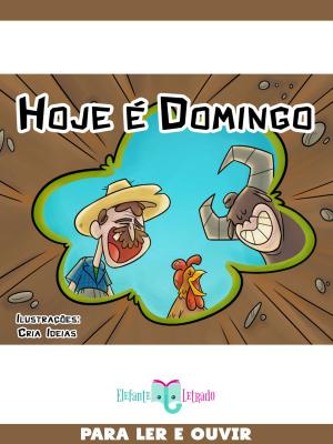Book cover of Hoje é Domingo