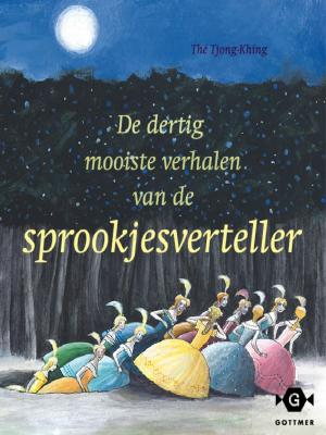 Cover of the book De dertig mooiste verhalen van de sprookjesverteller by Danny Dreyer, Katherine Dreyer
