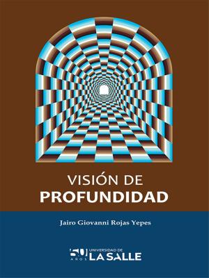 Cover of the book Visión de profundidad by Carlos Fajardo Fajardo