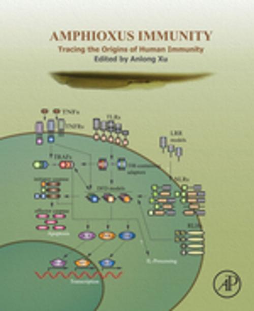 Cover of the book Amphioxus Immunity by , Elsevier Science