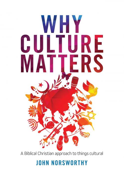 Cover of the book Why Culture Matters by John Norsworthy, Castle Publishing Ltd