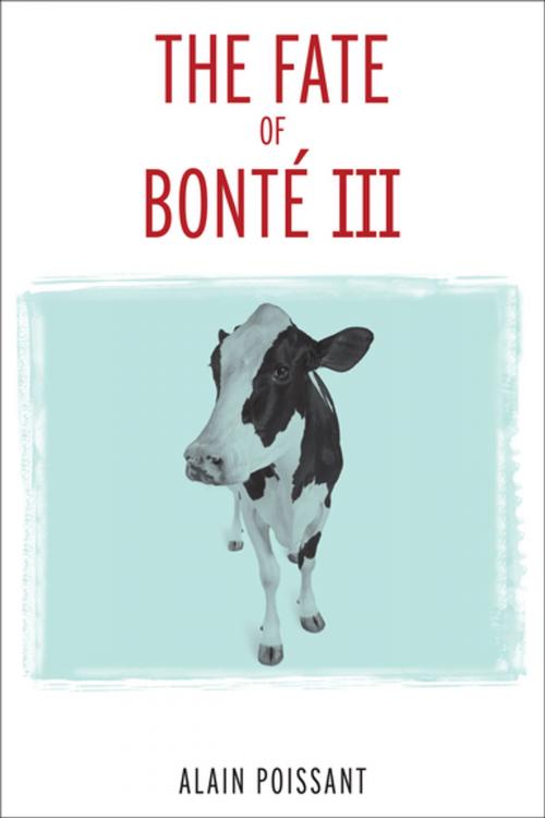 Cover of the book The Fate of Bonté III by Alain Poissant, University of Ottawa Press