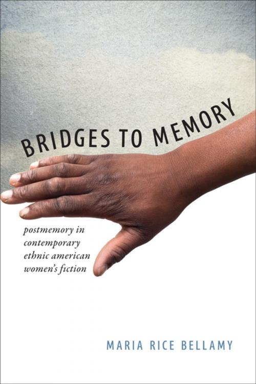 Cover of the book Bridges to Memory by Maria Rice Bellamy, University of Virginia Press