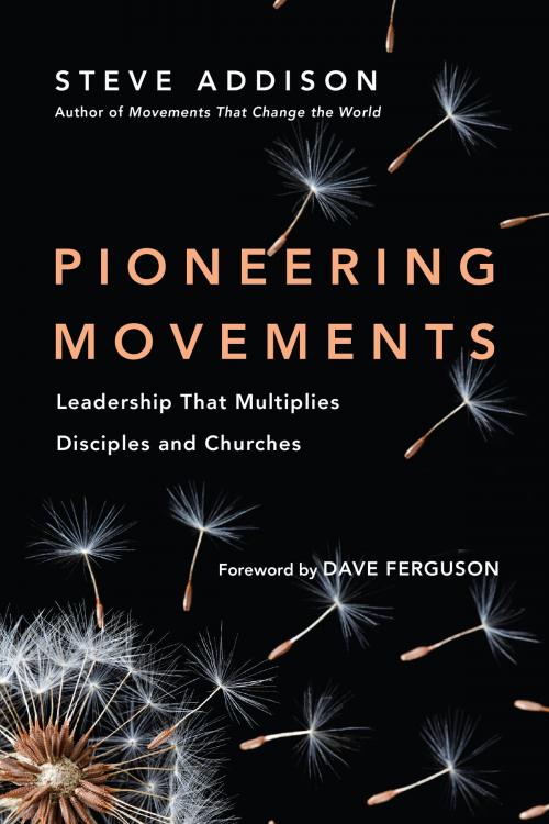 Cover of the book Pioneering Movements by Steve Addison, IVP Books