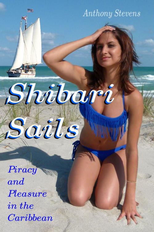 Cover of the book Shibari Sails by Anthony Stevens, Anthony Stevens