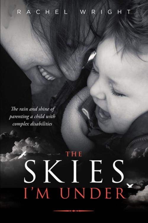 Cover of the book The Skies I'm Under by Rachel Wright, Rachel Wright