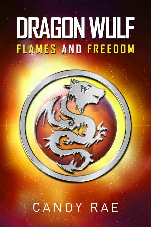 Cover of the book Flames and Freedom by Candy Rae, Candy Rae