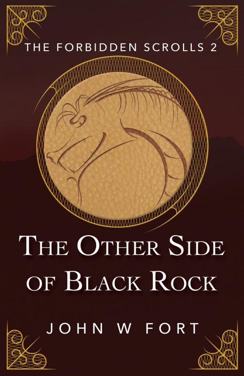 Cover of the book The Other Side of Black Rock by John W Fort, John W Fort