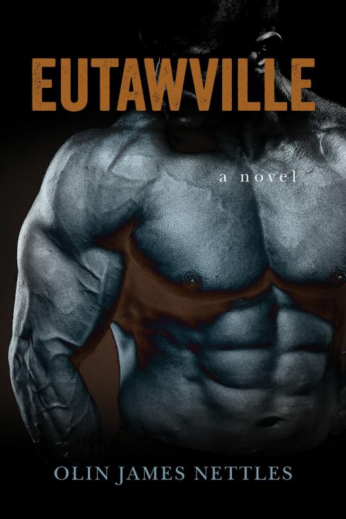 Cover of the book Eutawville: A Novel by Olin James Nettles, Olin James Nettles