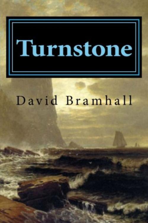 Cover of the book Turnstone by David Bramhall, David Bramhall