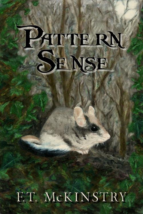 Cover of the book Pattern Sense by F.T. McKinstry, F.T. McKinstry