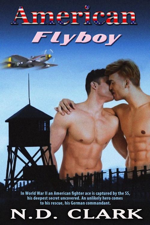 Cover of the book American Flyboy by N.D. Clark, N.D. Clark