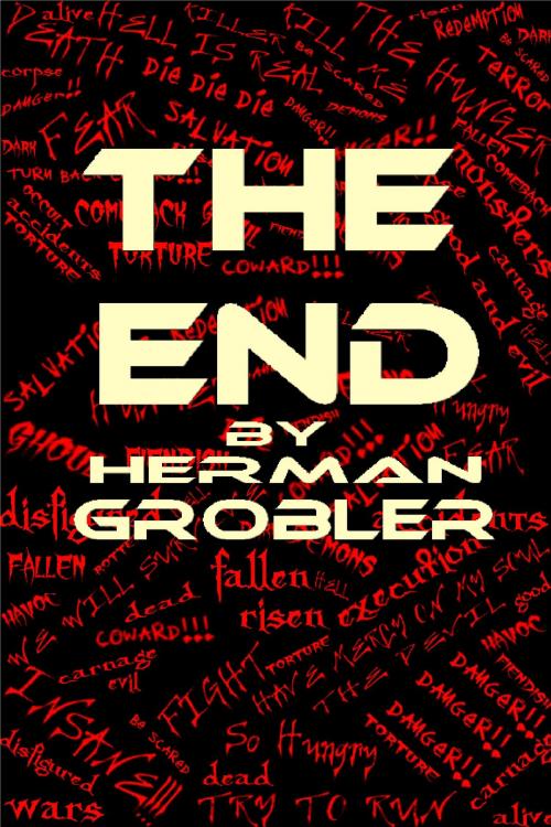 Cover of the book The End by Herman Grobler, Loadslife