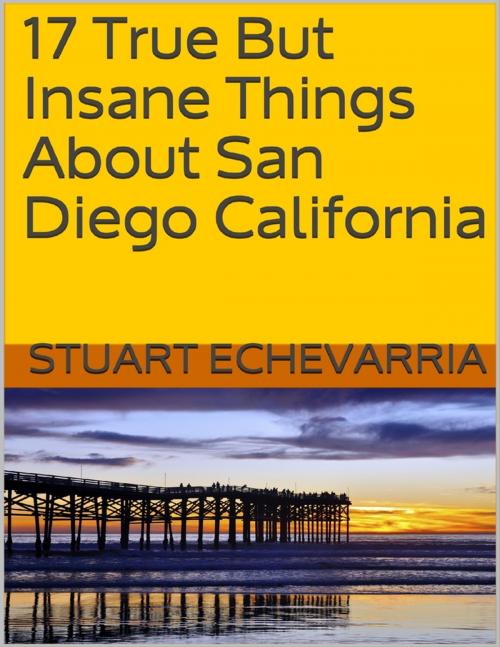 Cover of the book 17 True But Insane Things About San Diego California by Stuart Echevarria, Lulu.com