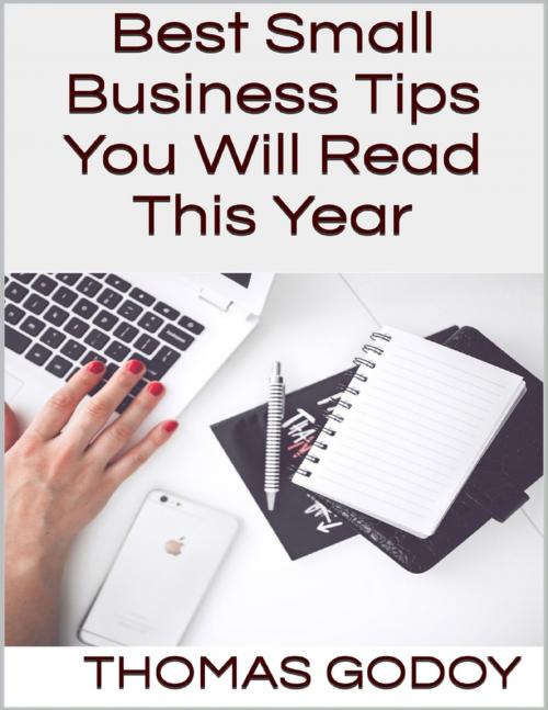 Cover of the book Best Small Business Tips You Will Read This Year by Thomas Godoy, Lulu.com