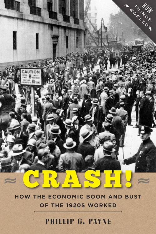 Cover of the book Crash! by Phillip G. Payne, Johns Hopkins University Press