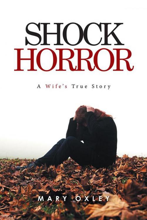 Cover of the book Shock Horror by Mary Oxley, Partridge Publishing Singapore