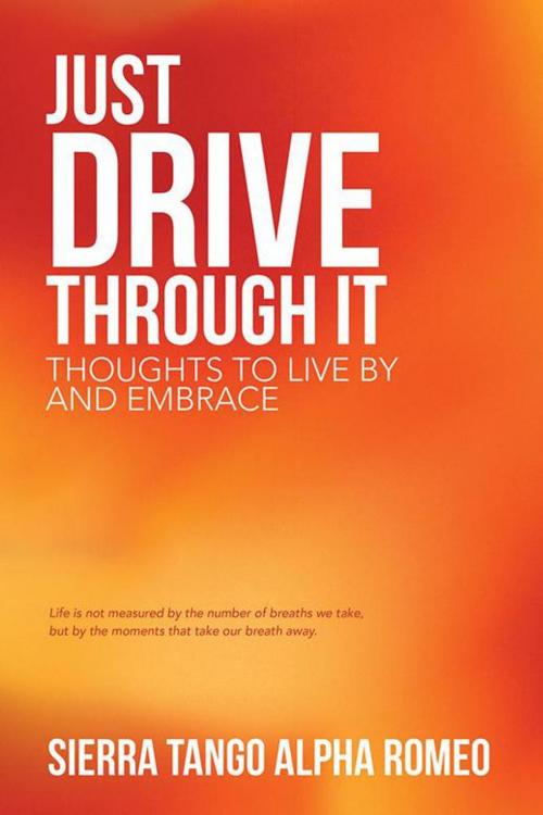 Cover of the book Just Drive Through It by Sierra Tango Alpha Romeo, LifeRich Publishing