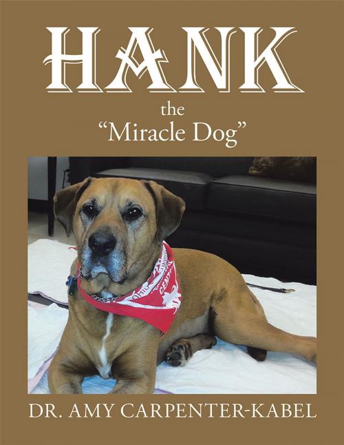 Cover of the book Hank the "Miracle Dog" by Dr. Amy Carpenter Kabel, Trafford Publishing