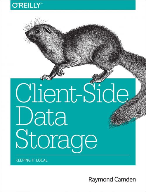 Cover of the book Client-Side Data Storage by Raymond Camden, O'Reilly Media
