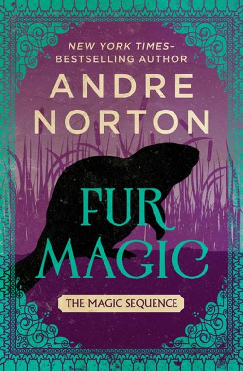 Cover of the book Fur Magic by Andre Norton, Open Road Media