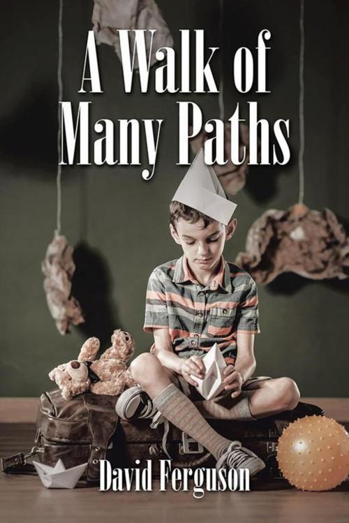 Cover of the book A Walk of Many Paths by David Ferguson, AuthorHouse