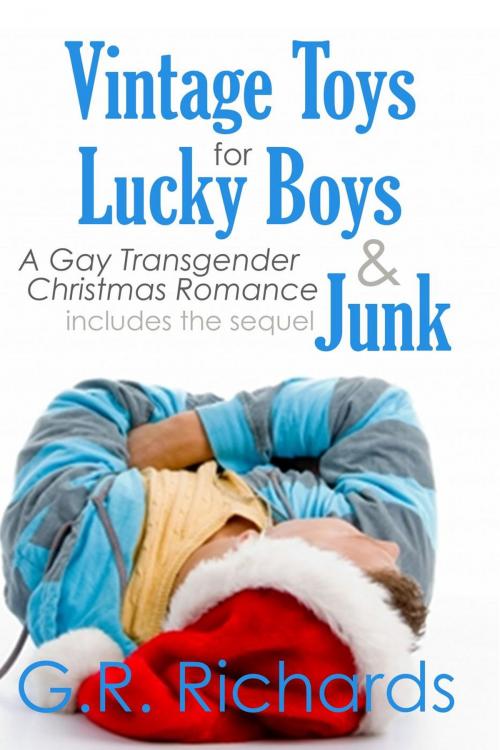 Cover of the book Vintage Toys for Lucky Boys and Junk: A Gay Transgender Christmas Romance by G.R. Richards, Great Gay Fiction
