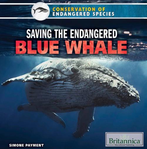 Cover of the book Saving the Endangered Blue Whale by Nicholas Croce, Britannica Educational Publishing