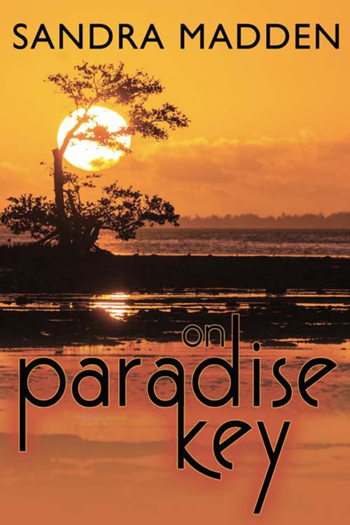 Cover of the book On Paradise Key by Sandra  Madden, The Wild Rose Press, Inc.