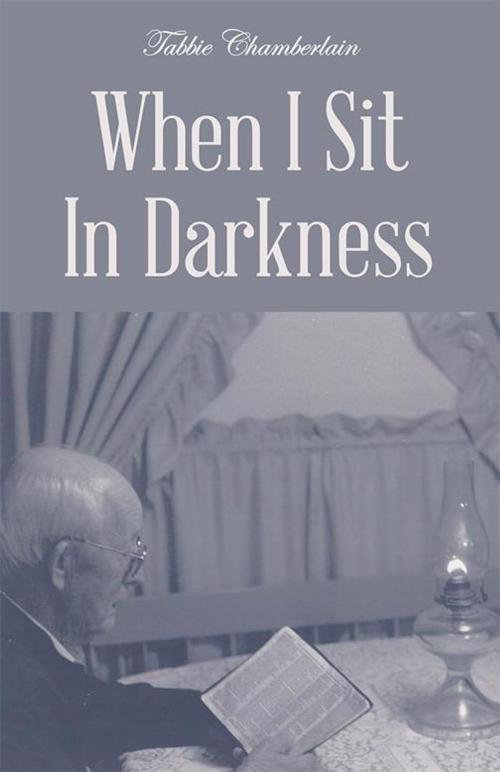 Cover of the book When I Sit in Darkness by Tabbie Chamberlain, WestBow Press