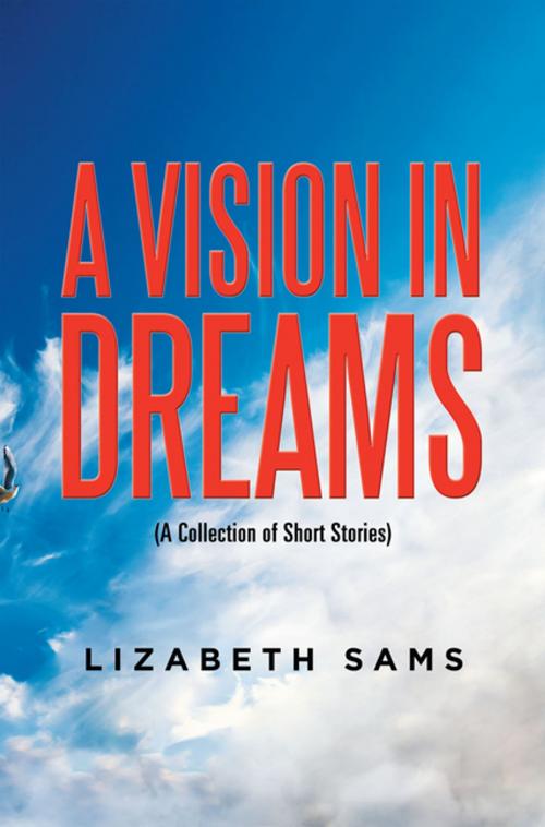 Cover of the book A Vision in Dreams by Lizabeth Sams, Xlibris US